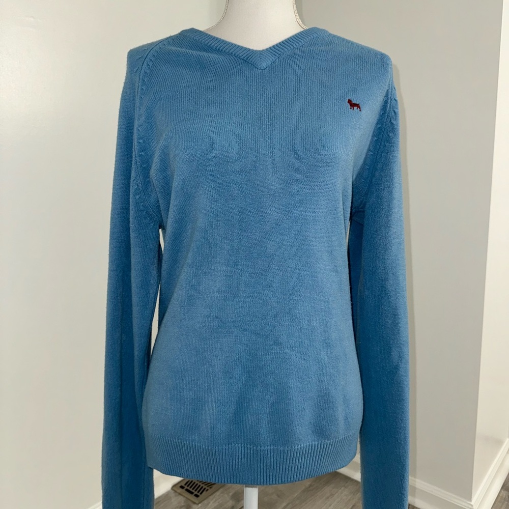 Aeropostale Mens L‎ Blue V Neck Sweater Bulldog Logo 100% Acrylic